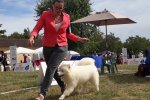 Réserve du Best in Show Baby Sorges 2019